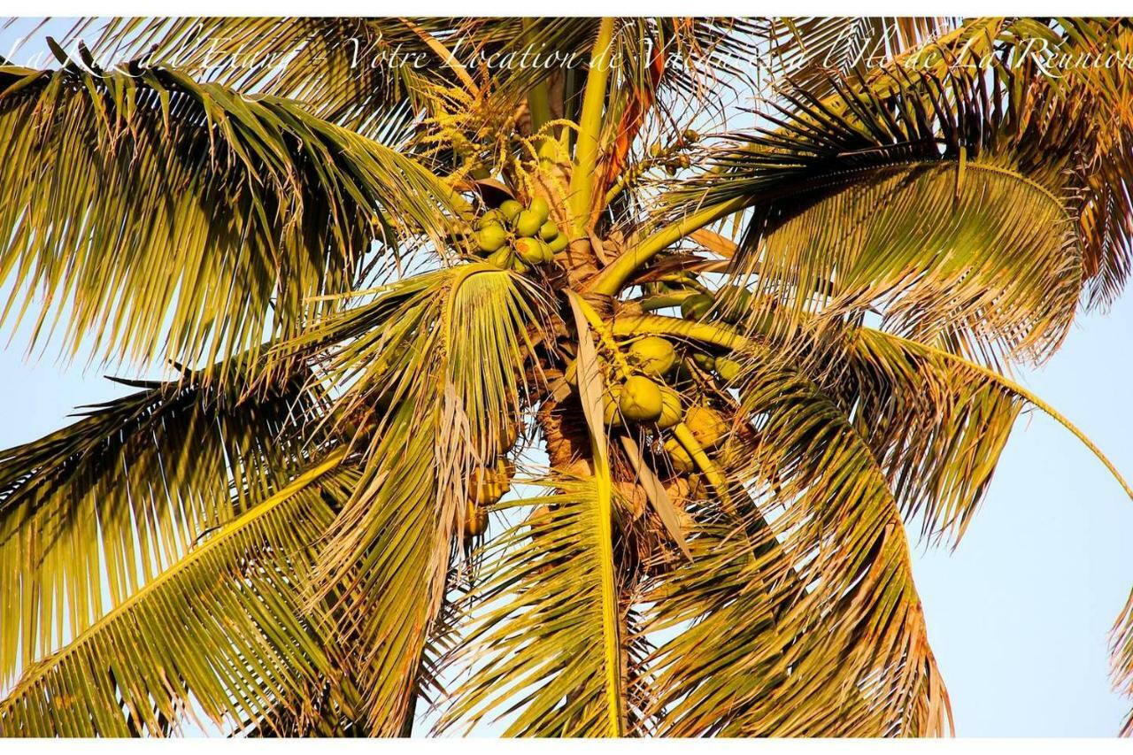 La Kaz A L'Etang - Votre Location De Vacances A L'Ile De La Reunion Saint-Louis Dış mekan fotoğraf