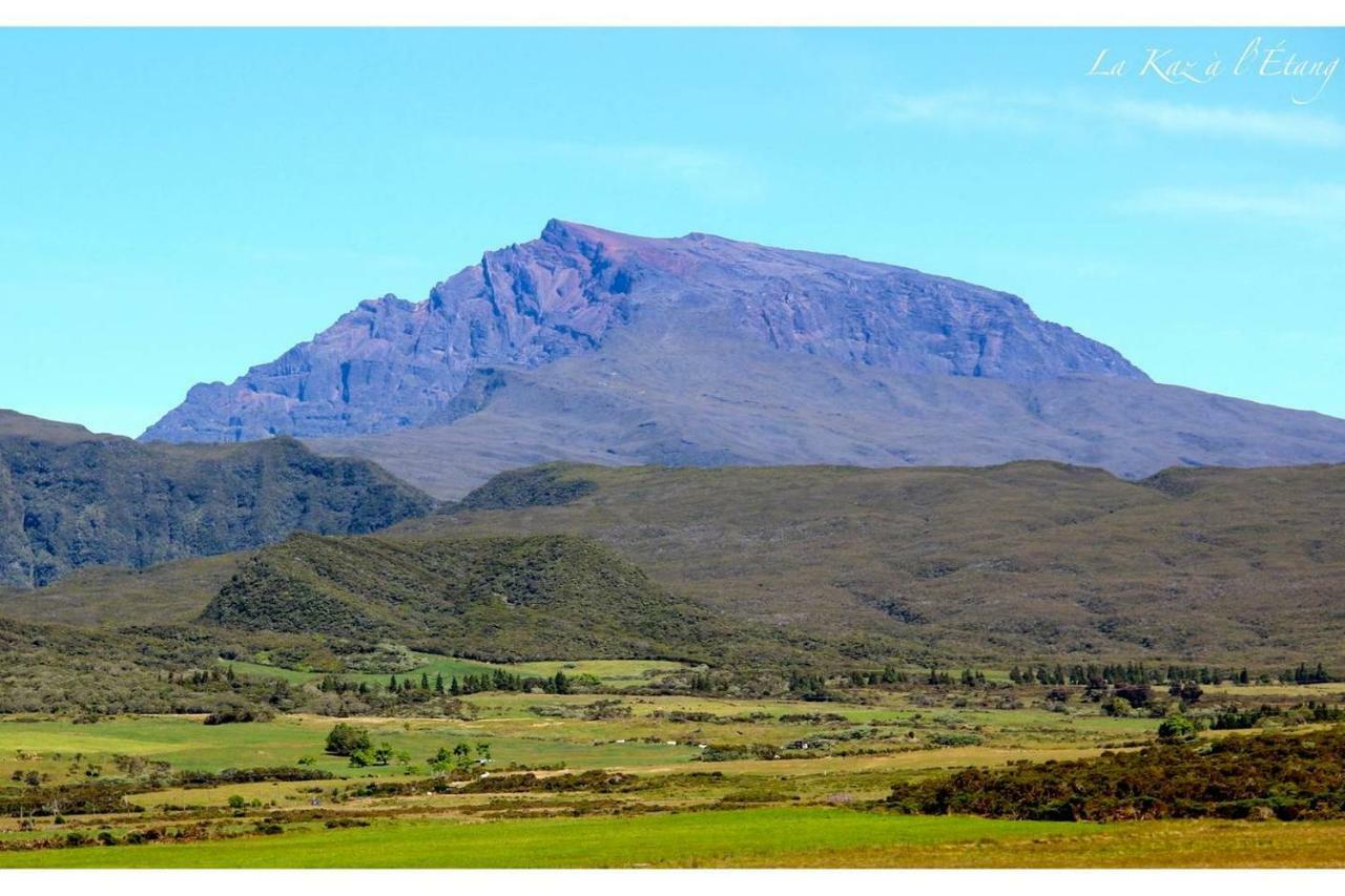 La Kaz A L'Etang - Votre Location De Vacances A L'Ile De La Reunion Saint-Louis Dış mekan fotoğraf