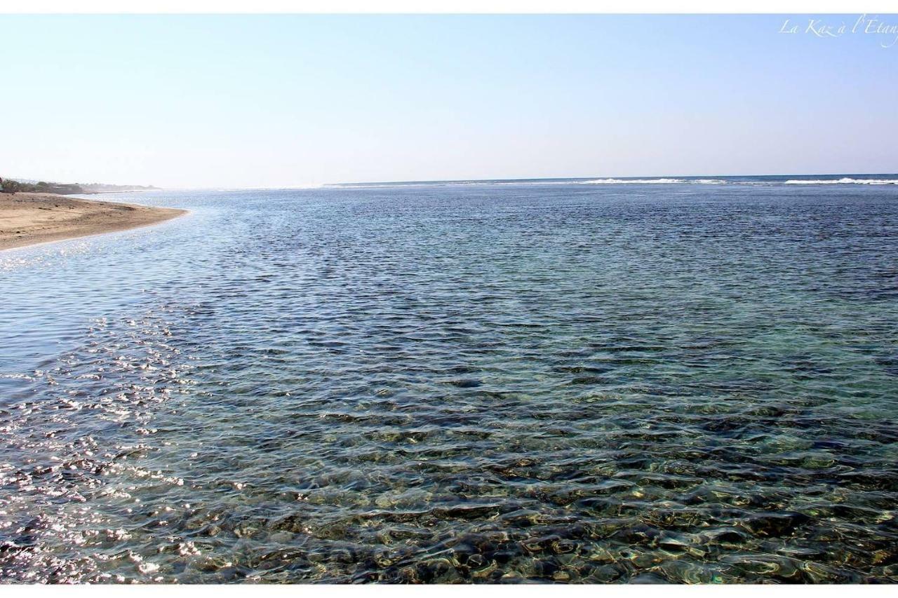La Kaz A L'Etang - Votre Location De Vacances A L'Ile De La Reunion Saint-Louis Dış mekan fotoğraf