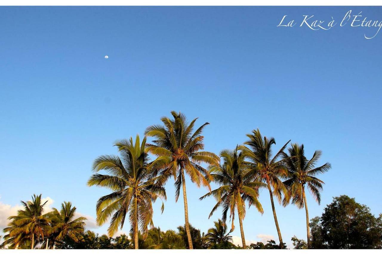 La Kaz A L'Etang - Votre Location De Vacances A L'Ile De La Reunion Saint-Louis Dış mekan fotoğraf